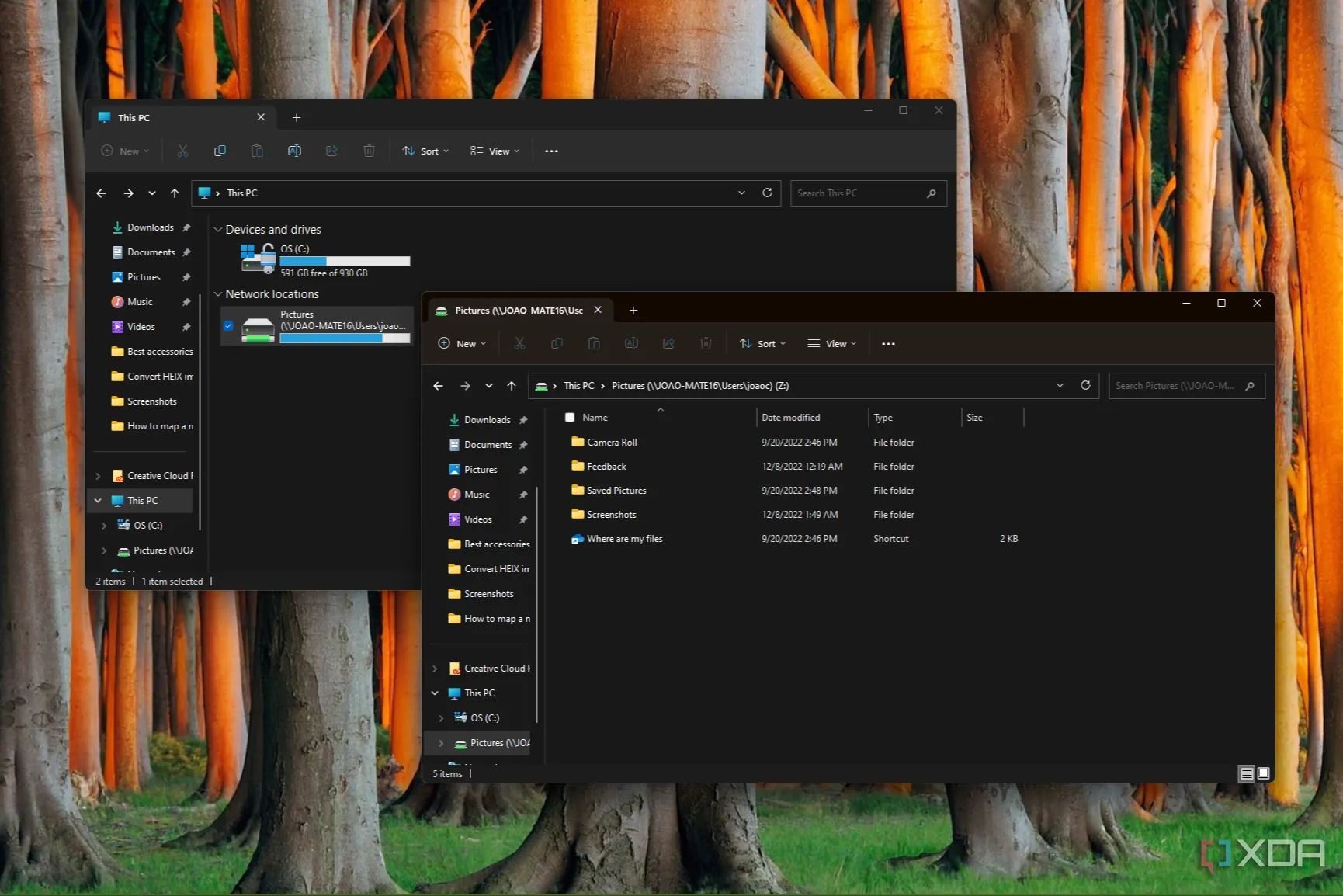 Ảnh chụp màn hình File Explorer truyền thống hiển thị một ổ đĩa mạng đã được ánh xạ cùng cửa sổ nội dung, cho thấy cách giải quyết tạm thời hạn chế của File Pilot.