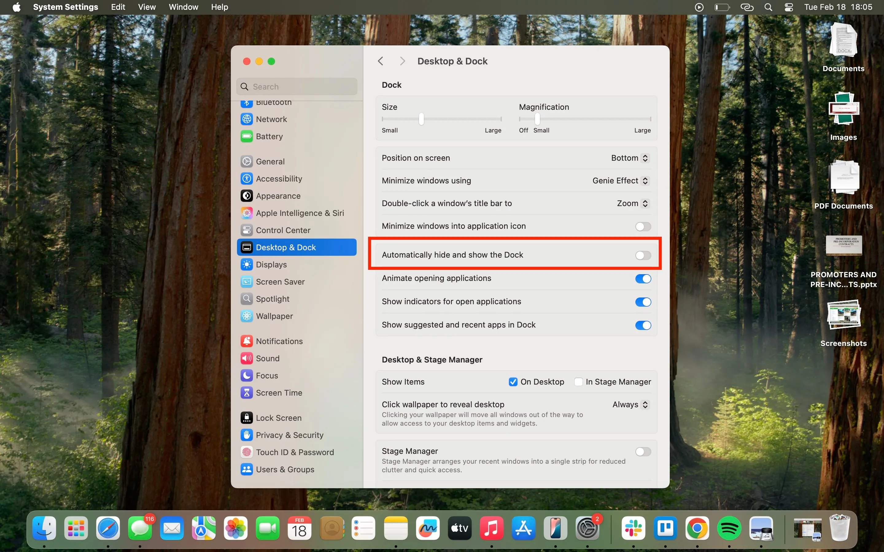 Ảnh chụp màn hình Mac hiển thị tính năng tự động ẩn Dock, giúp tối ưu hóa không gian làm việc và giảm xao nhãng