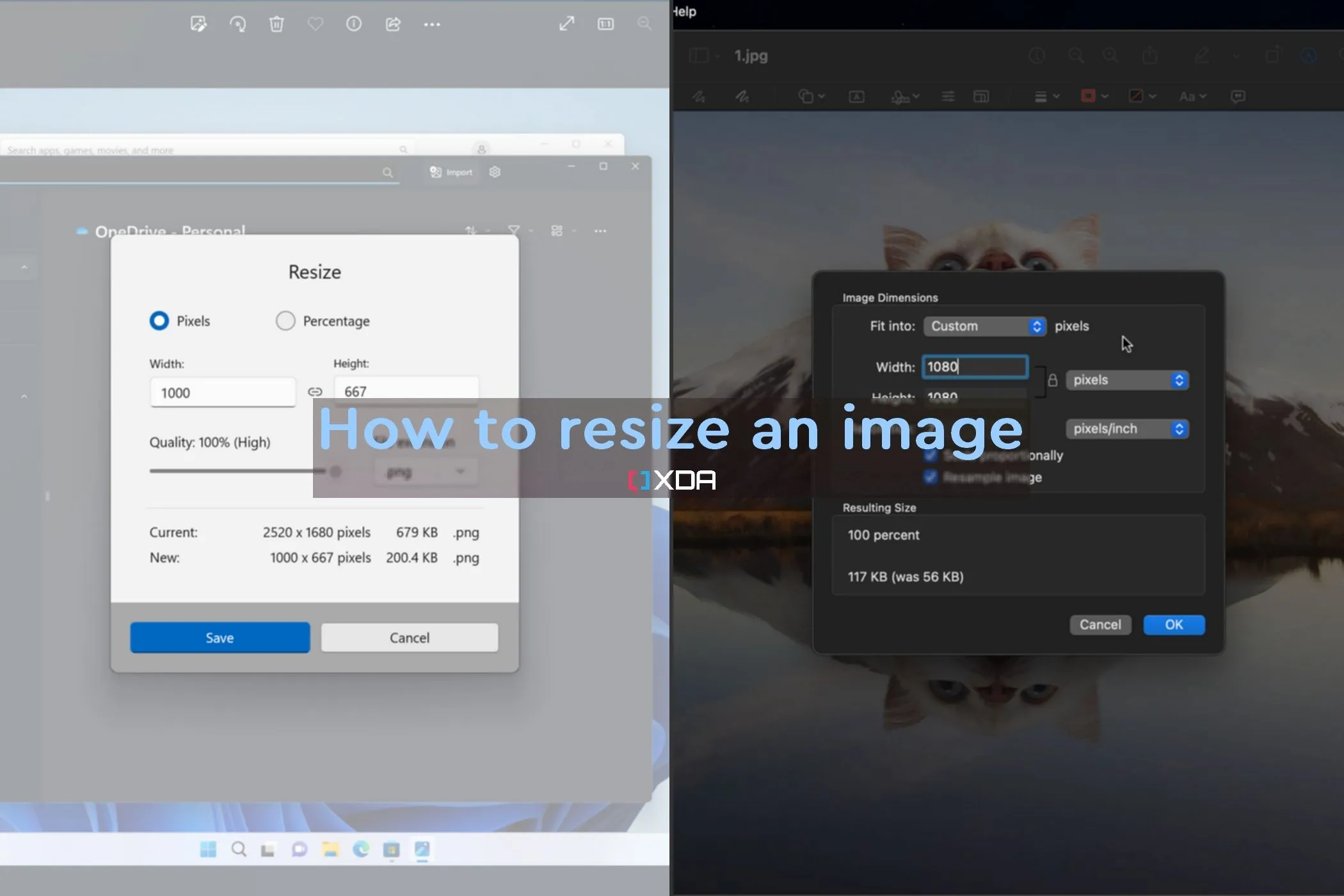 Ảnh chụp màn hình minh họa các công cụ thay đổi kích thước ảnh trên Windows và macOS, nhấn mạnh thao tác cơ bản.