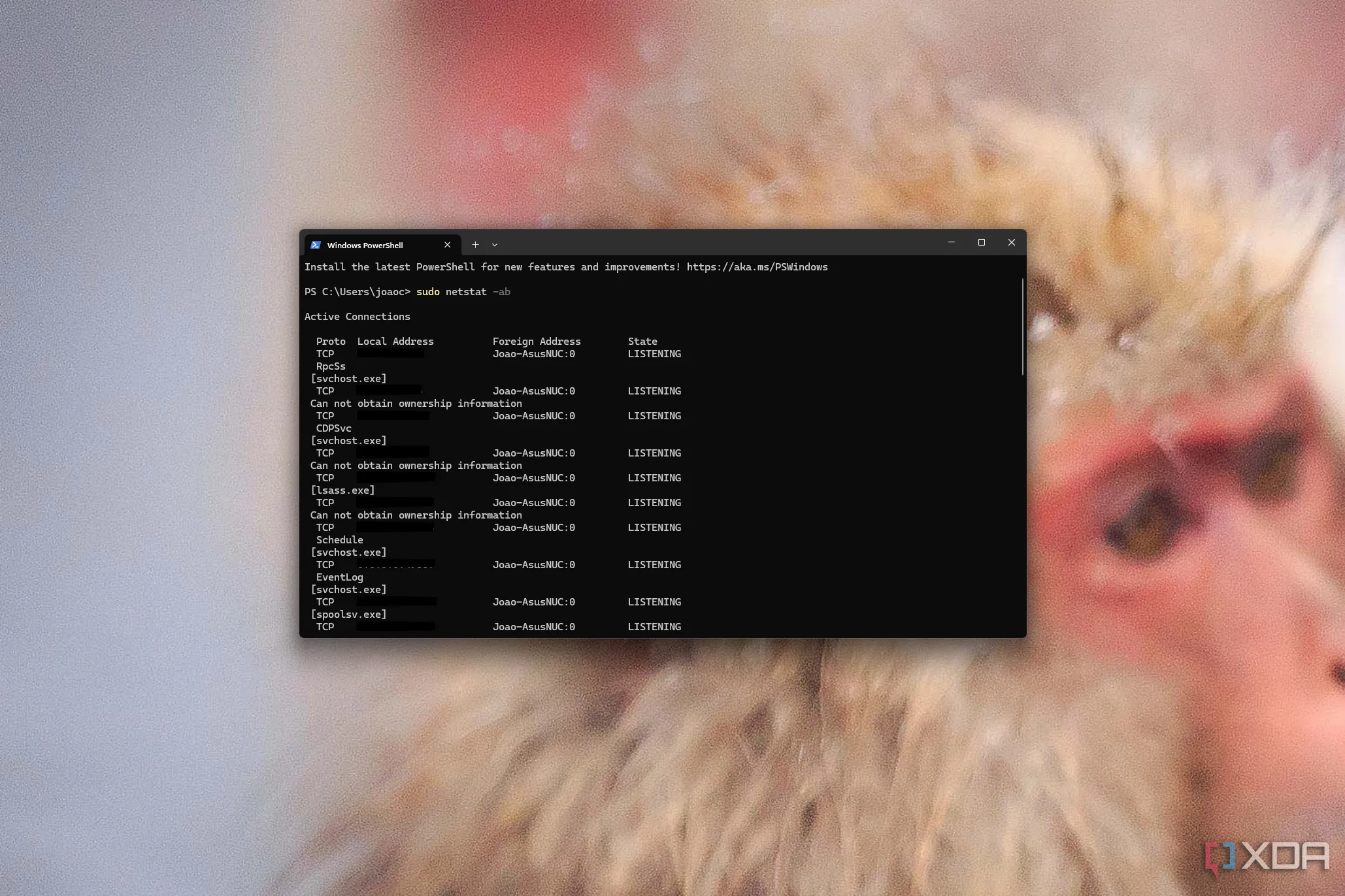 Ảnh chụp màn hình Windows Terminal đang chạy lệnh sudo trong môi trường Ubuntu WSL, minh họa khả năng tương tác với hệ thống Linux.