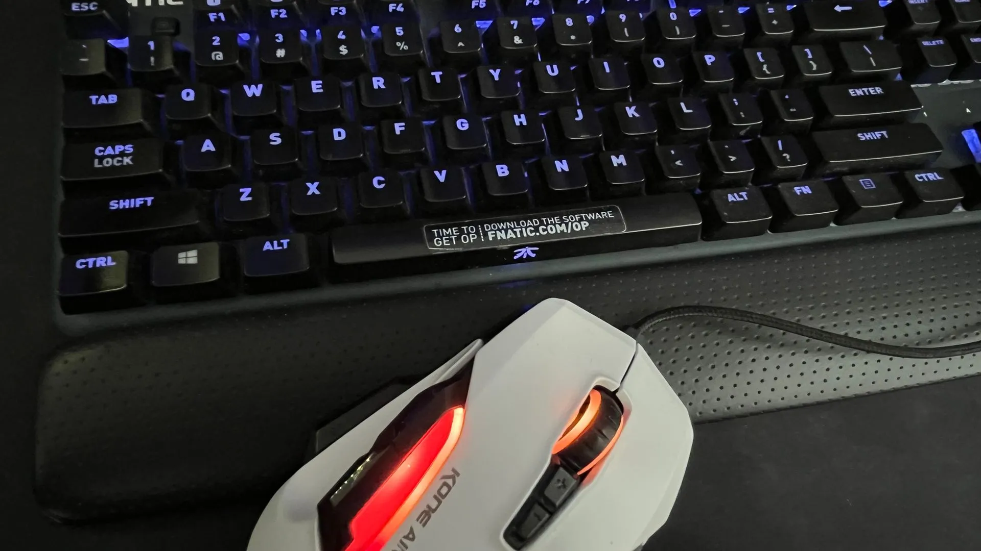 Bàn phím gaming RGB Fnatic và chuột Roccat, những thiết bị ngoại vi PC gaming cao cấp minh họa chi phí phần cứng ngày càng tăng.
