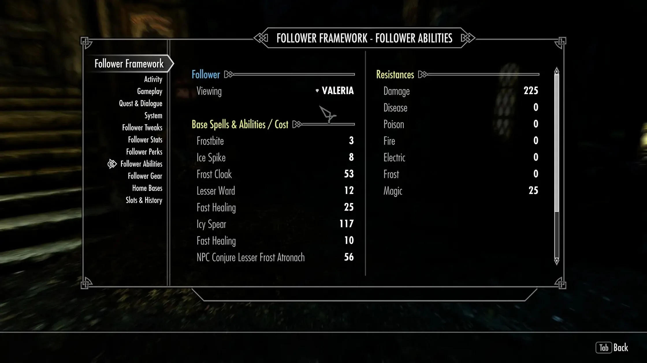 Các nhân vật đồng hành trong Skyrim được quản lý hiệu quả hơn nhờ mod Nether's Follower Framework