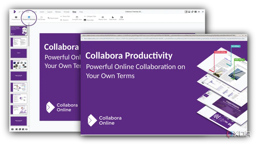 Cài đặt và tùy chọn bảo mật dữ liệu trong Collabora Online