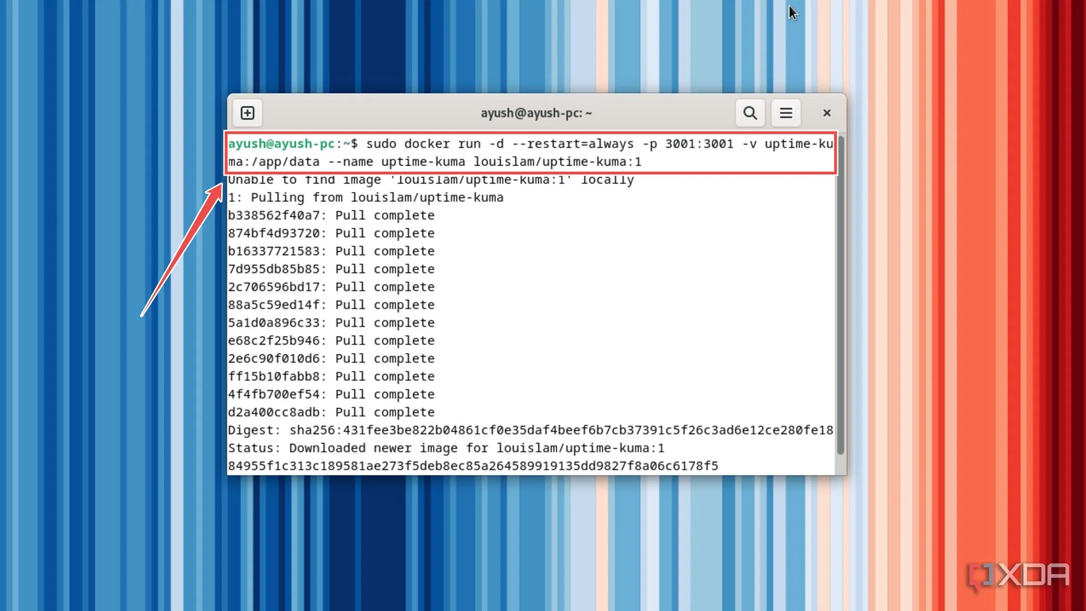 Chạy lệnh Docker để triển khai container Uptime Kuma trên máy chủ