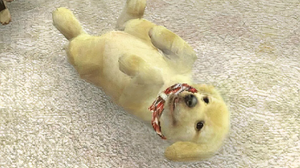 Chú chó Golden Retriever con đáng yêu trong game Nintendogs, biểu tượng của dòng game mô phỏng thú cưng