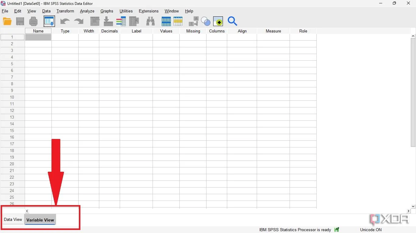 Giao diện chính của IBM SPSS Statistics với hai tab Data View và Variable View