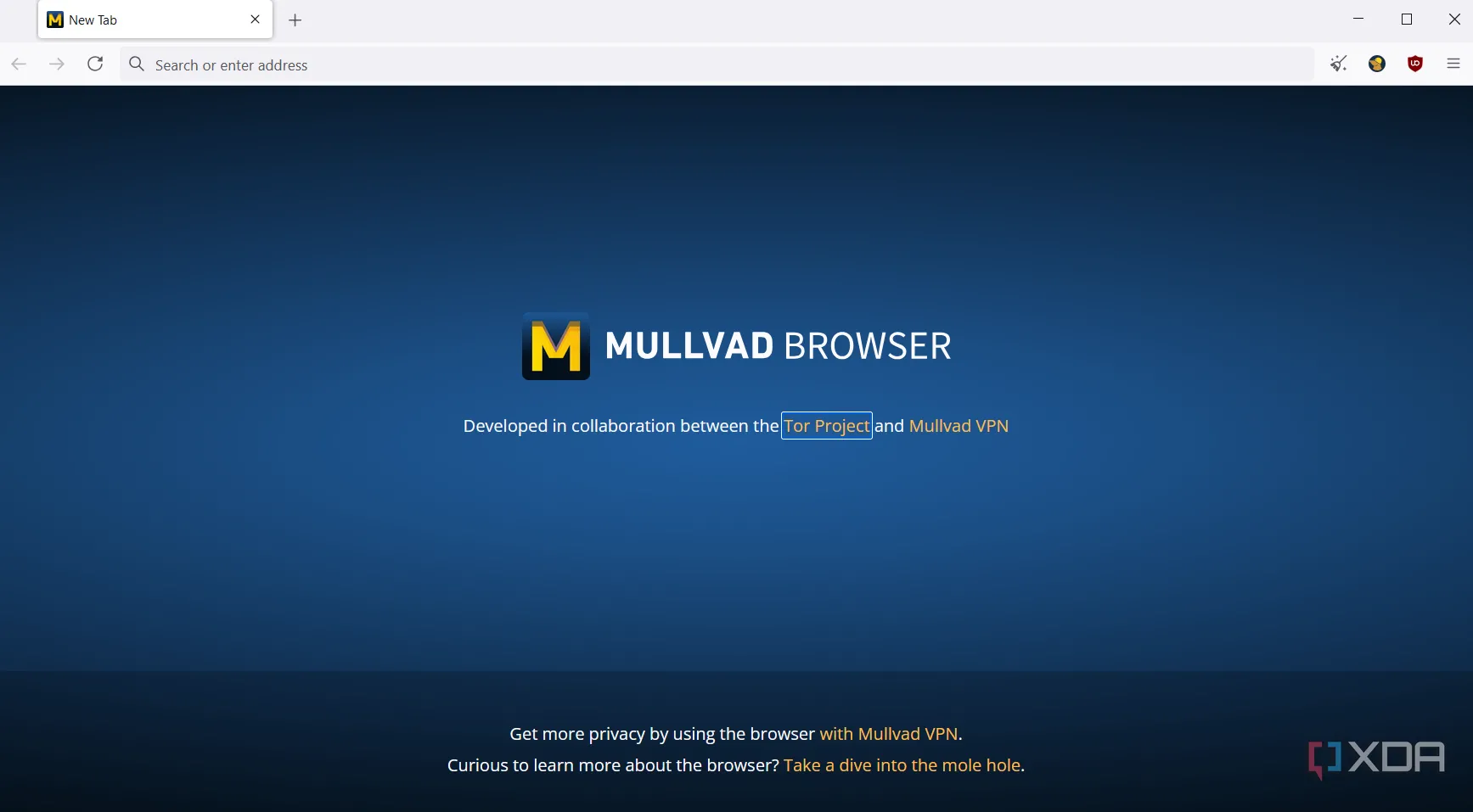 Giao diện trang chủ của Mullvad Browser với các tùy chọn bảo mật rõ ràng