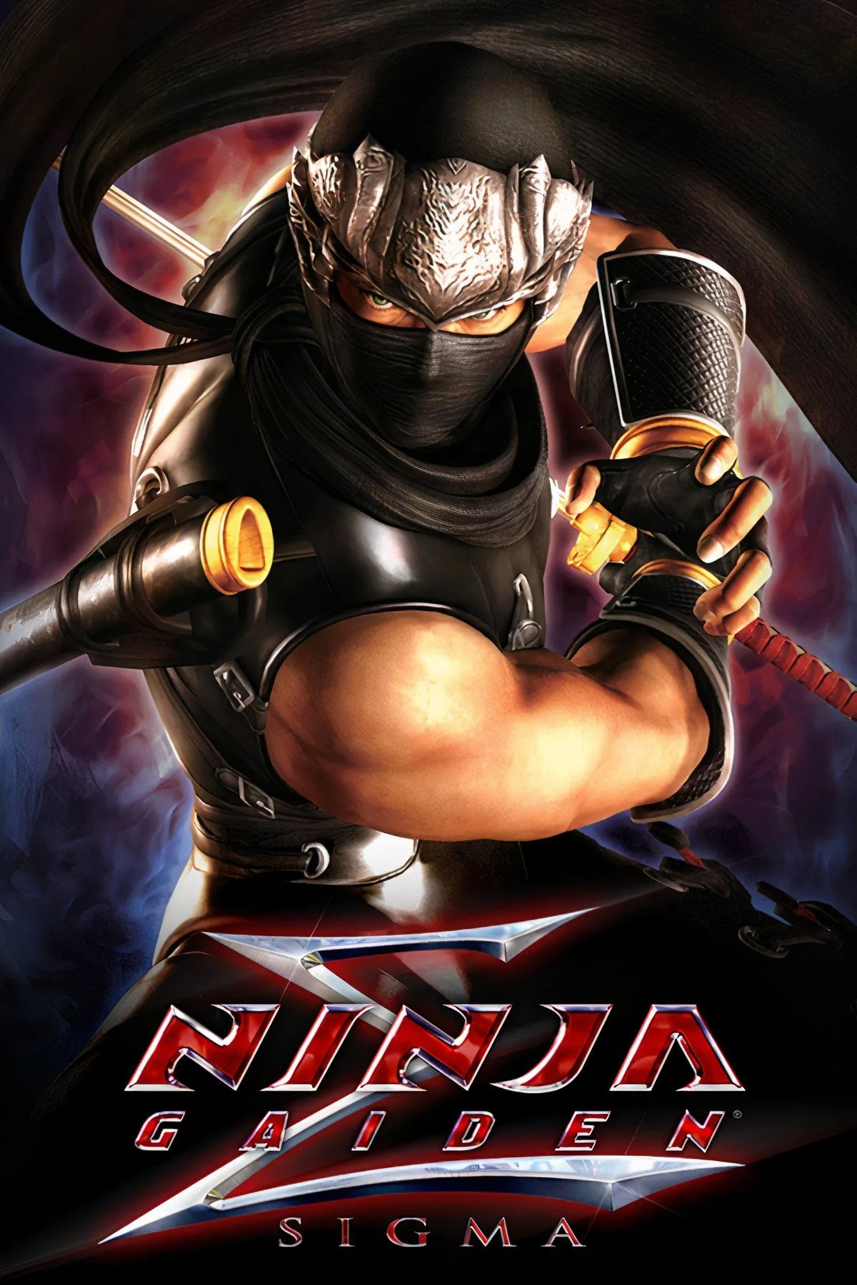 Hình ảnh tổng hợp từ các phiên bản Ninja Gaiden, với nhân vật Ryu Hayabusa thực hiện những pha hành động ninja đẹp mắt