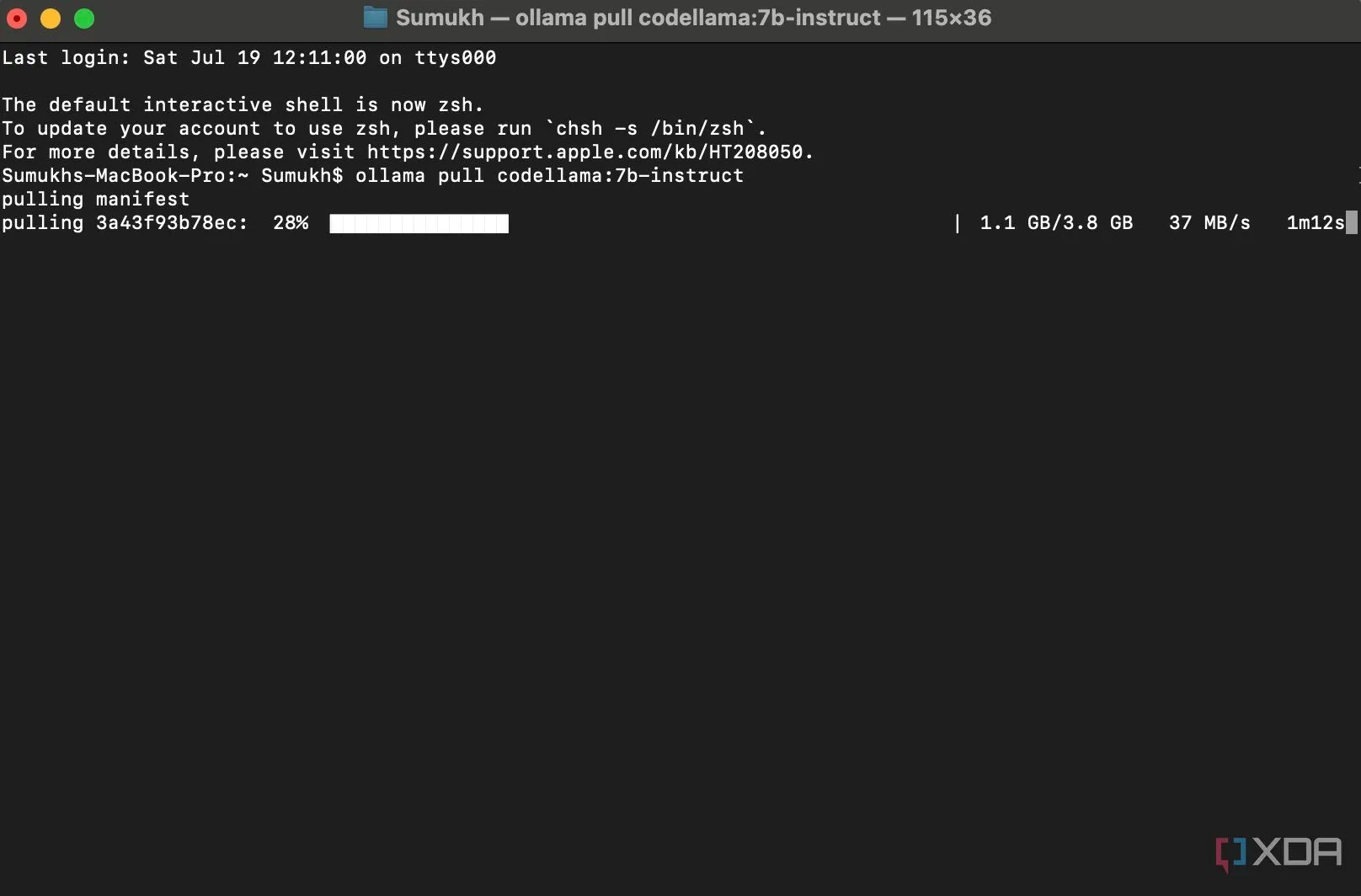 Màn hình terminal hiển thị quá trình tải mô hình Code Llama 7B Instruct thông qua Ollama