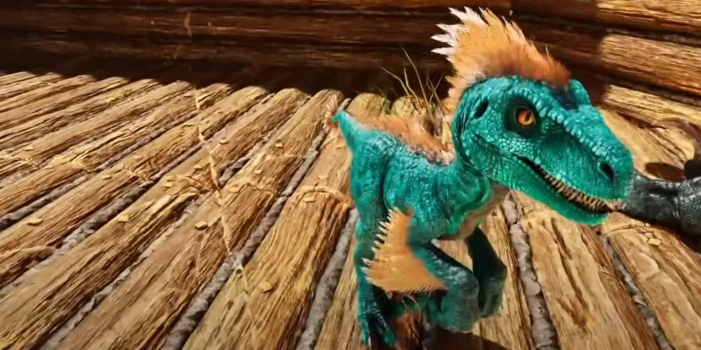 Một con raptor non màu xanh với những điểm nhấn màu cam, minh họa sự đa dạng về sinh vật và đột biến màu sắc trong Ark: Survival Ascended.
