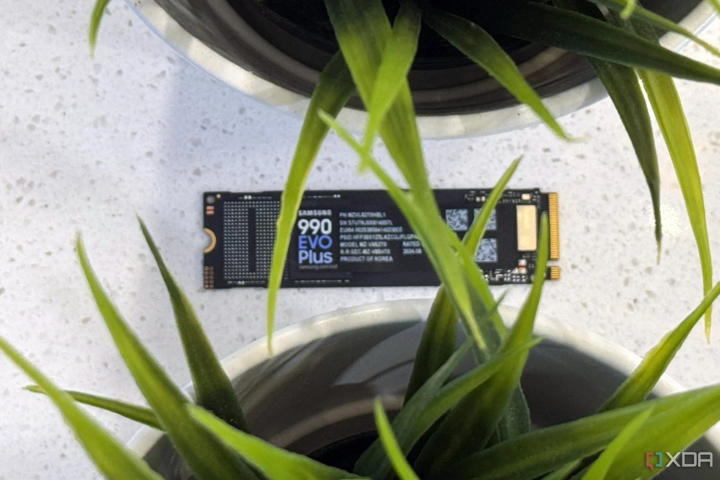 Ổ cứng SSD Samsung 990 EVO Plus NVMe M.2 đặt cạnh chậu cây xanh