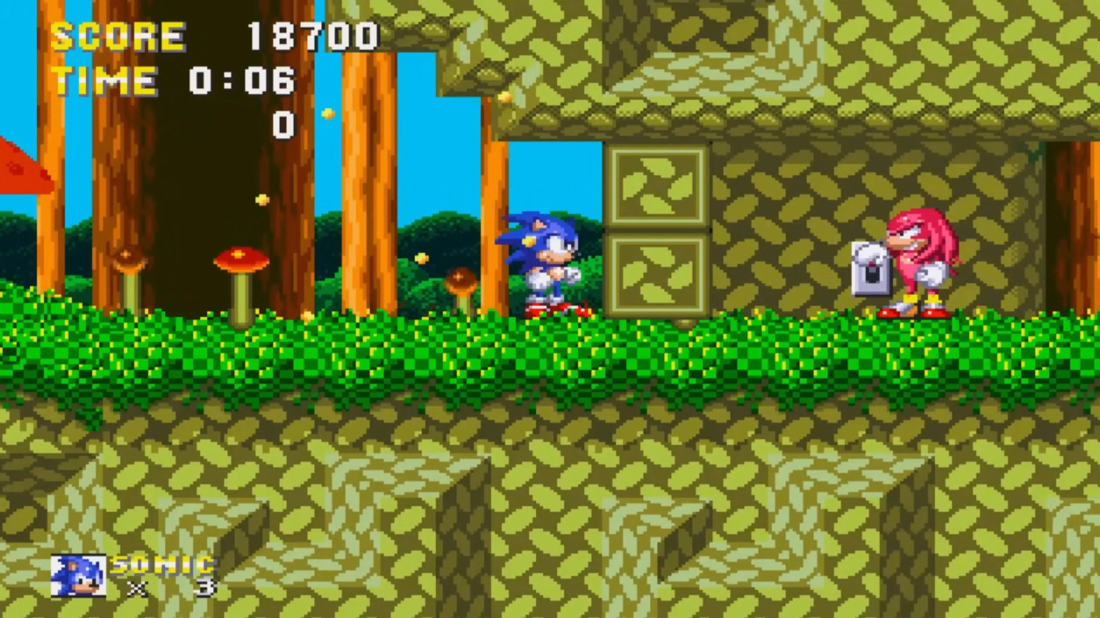 Sonic và Knuckles đang cùng nhau vượt qua một màn chơi đầy chướng ngại vật trong Sonic 3 &amp; Knuckles, thể hiện lối chơi platformer tốc độ và cơ chế co-op độc đáo của tựa game trên Sega Genesis.