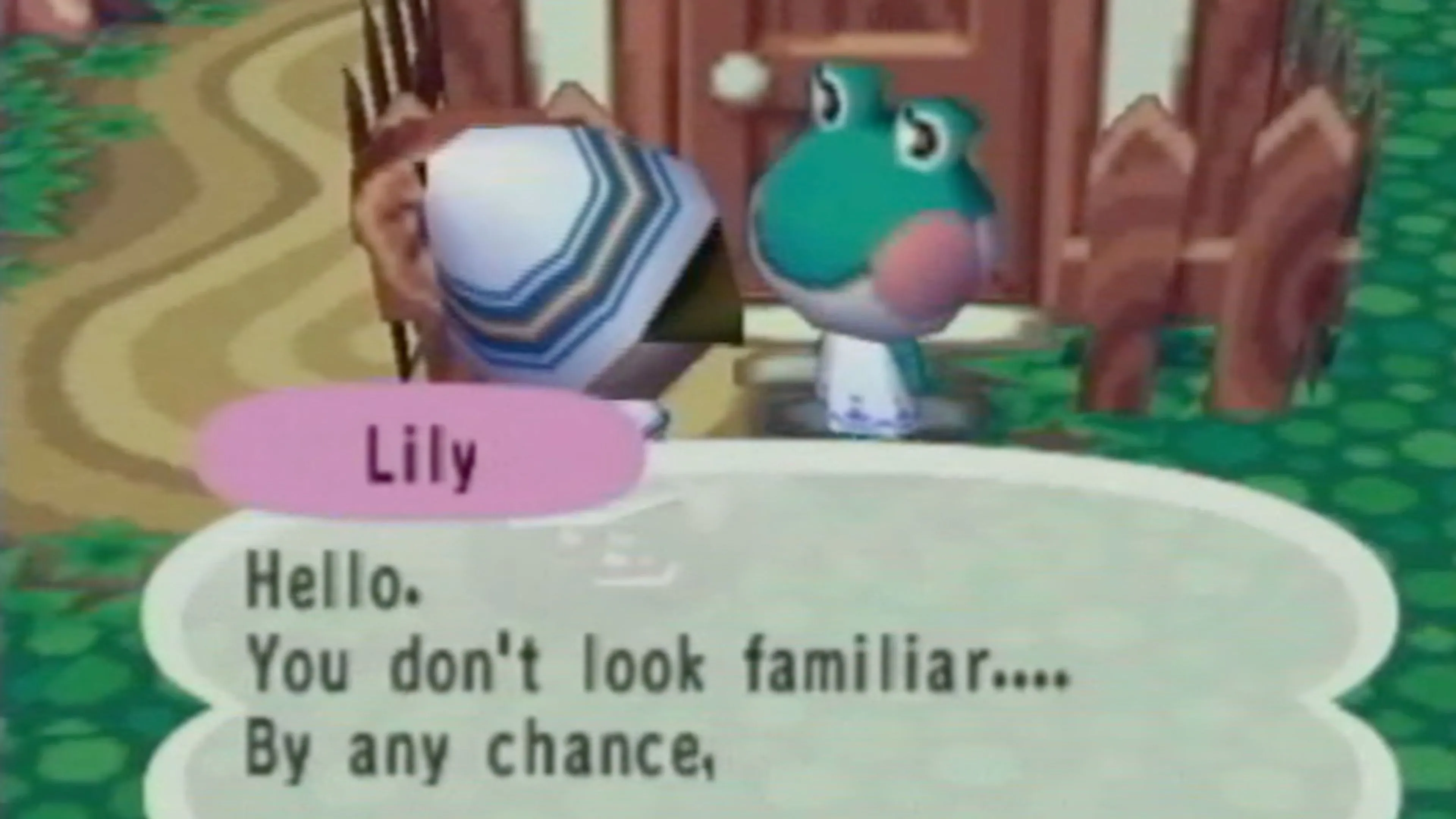 Thảo luận với Lily the frog trong Animal Crossing