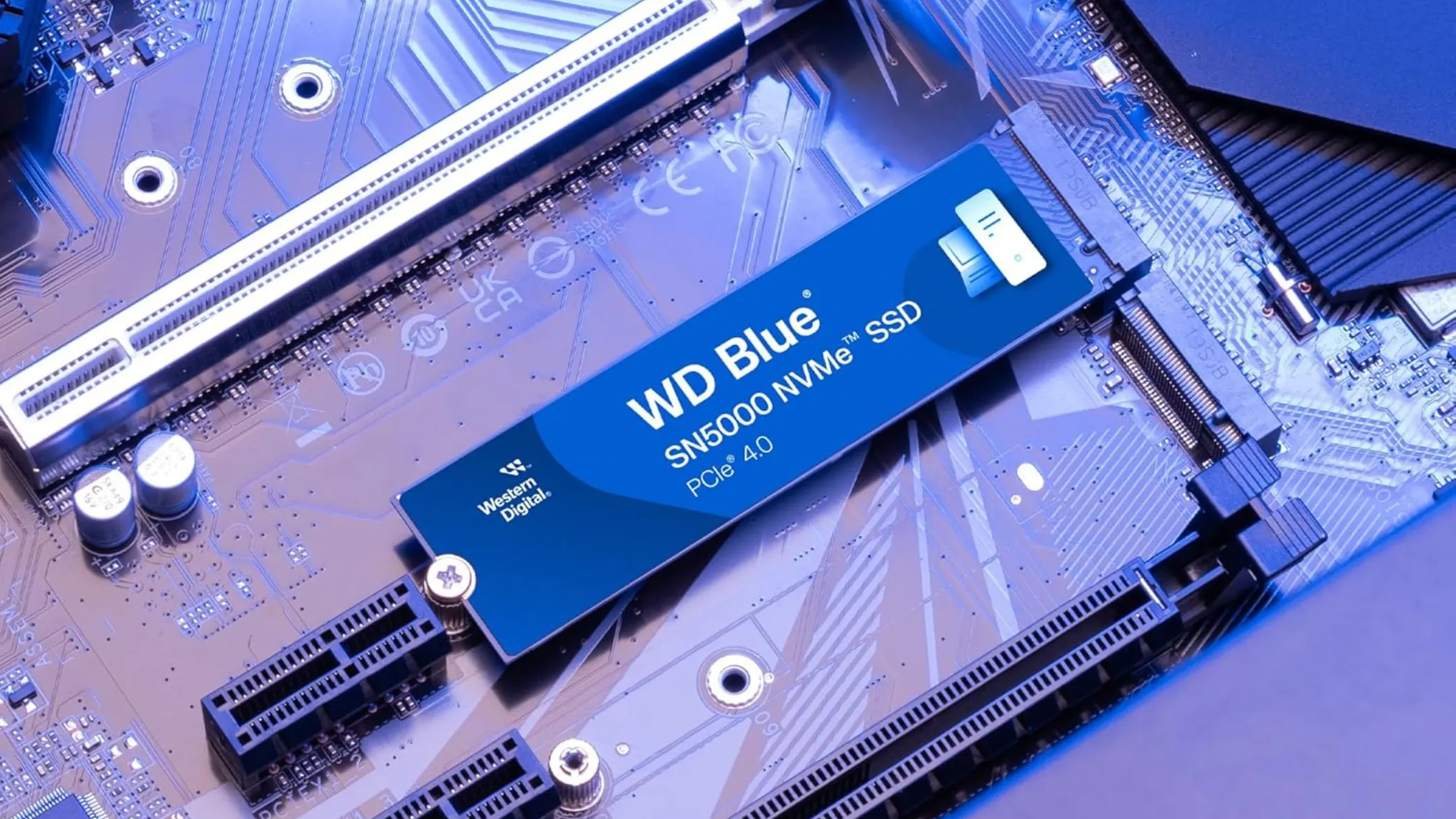Thiết kế nhỏ gọn của ổ cứng SSD WD Blue SN5000 4TB M.2 NVMe