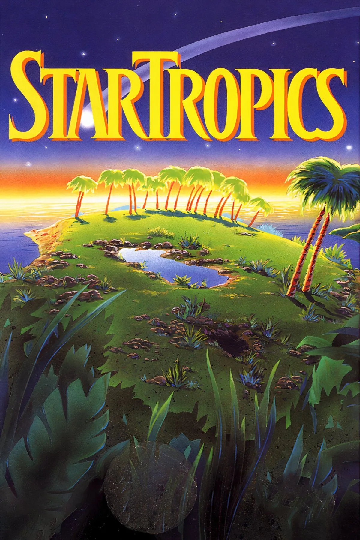 Tổng hợp cảnh gameplay đa dạng từ Startropics, minh họa đồ họa phiêu lưu 2D