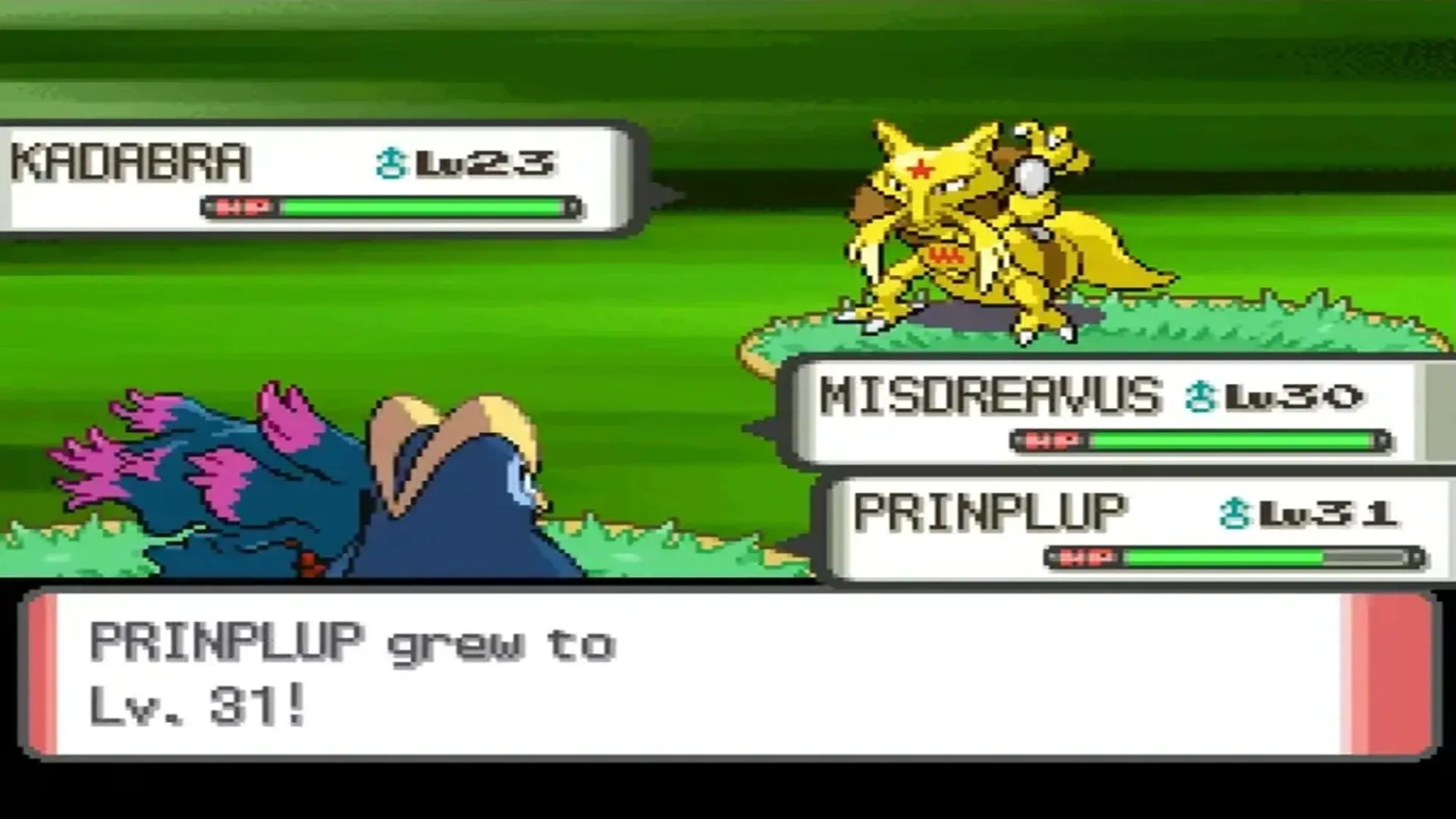 Trận chiến đôi kịch tính trong Pokémon Pearl trên Nintendo DS, thể hiện đồ họa và tính năng game