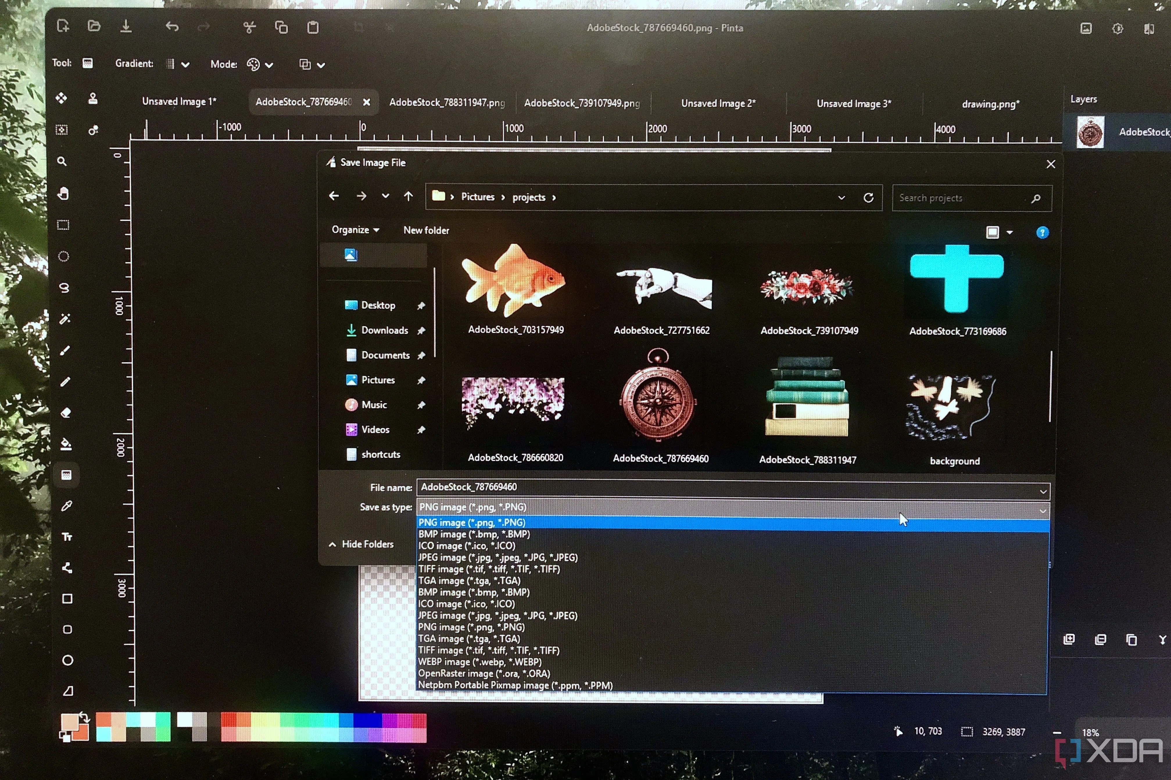 Tùy chọn xuất file đa dạng của Pinta